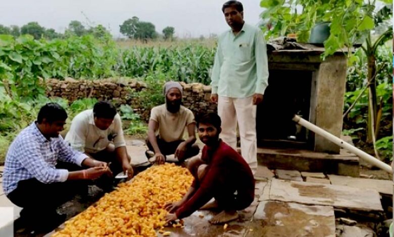 मध्यप्रदेश-में-क्लस्टर-आधारित-सब्जी-उत्पादन-से-बदली-किसानों-की-किस्मत,-14-जिलों-में-3000-लाभार्थी