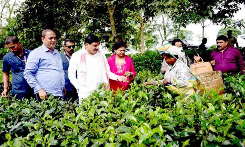 मध्यप्रदेश-और-असम-के-बीच-वन्य-जीव-पर्यटन-में-साझेदारी-के-लिए-होगी-विशेष-पहल-:-मुख्यमंत्री-डॉ.-यादव