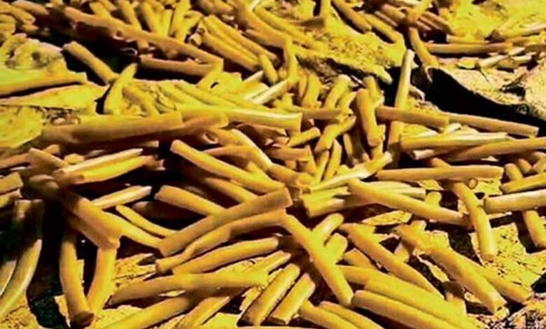 जबलपुर में फूड फैक्ट्री का गंदा सच उजागर, पैरों से कुचलकर फ्राइज मिलाते मिले कर्मचारी