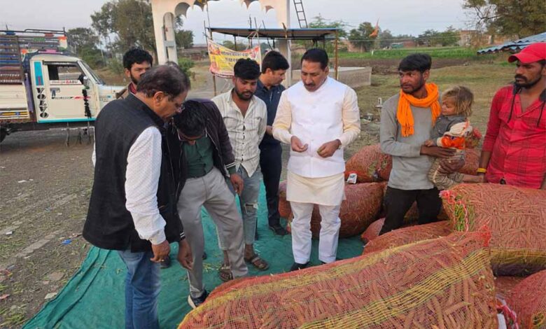 कृषि मंत्री कंषाना ने मटर की फसल का निरीक्षण कर किसानों से किया संवाद