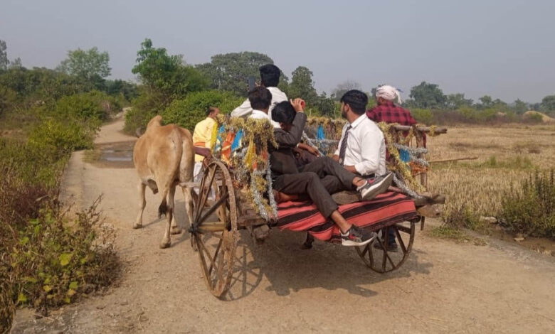 रीवा में नए साल का मजा: होम स्टे और बैलगाड़ी में लीजिए 31 दिसंबर की फुल एंटरटेनमेंट