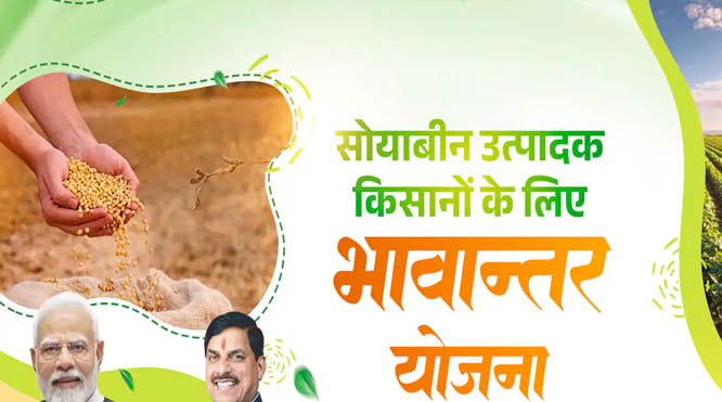 भावांतर योजना में सोयाबीन का मॉडल रेट 4345 रुपए जारी