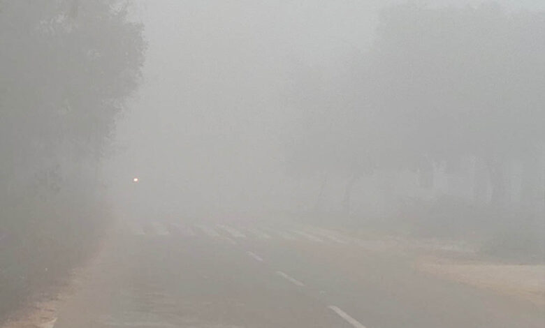 MP में कड़ाके की ठंड और कोहरा, 19 जिलों में स्कूलों की छुट्टी, बड़वानी में दूध टैंकर पलटा—एक की मौत