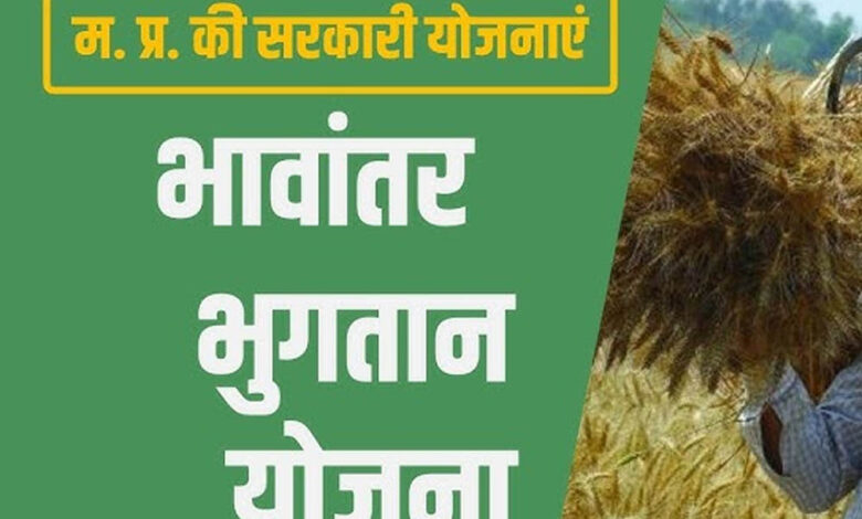 भावांतर योजना में सोयाबीन का मॉडल रेट 4458 रुपए जारी