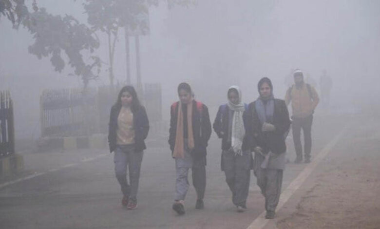 MP में 20 मीटर विजिबिलिटी, ट्रेनें 14 घंटे तक लेट, 24 जिलों में स्कूलों की छुट्टी