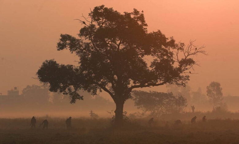 एमपी में कड़ाके की ठंड, उमरिया में रिकॉर्ड तोड़ा; भोपाल, इंदौर और ग्वालियर में स्कूलों की छुट्टी