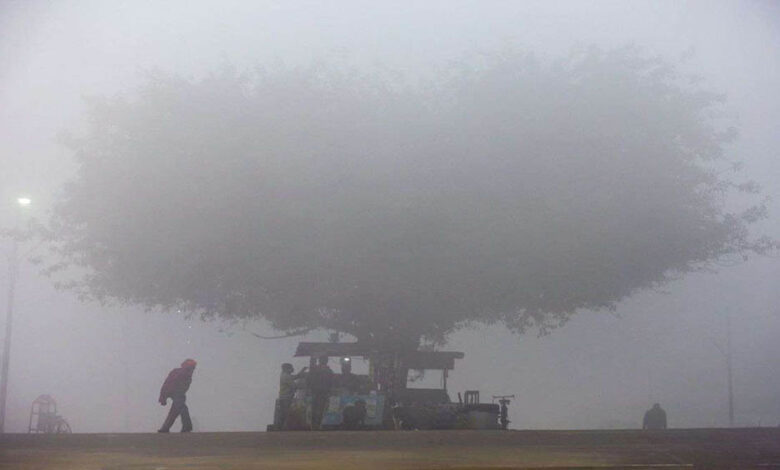 मध्य प्रदेश में ठंड का डबल अटैक: कोहरे के साथ शीतलहर, दिन भी रात की तरह ठंडे