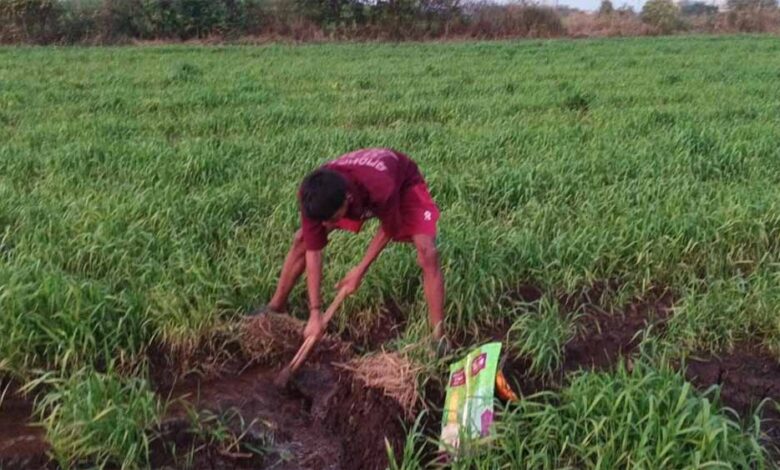 बारिश के बाद अब मावठा भी रूठा, खंडवा जिले में तेजी से गिर रहा जलस्तर