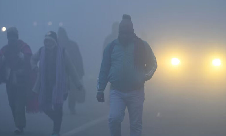 MP Weather Update: प्रदेश में तेज ठंड और कोहरे का असर, संक्रांति के बाद मावठा गिरने के आसार