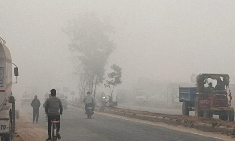 23-24 जनवरी को 10 जिलों में बारिश और कोहरे का अलर्ट, आज से बादलों की चादर में लिपटे होंगे इलाके