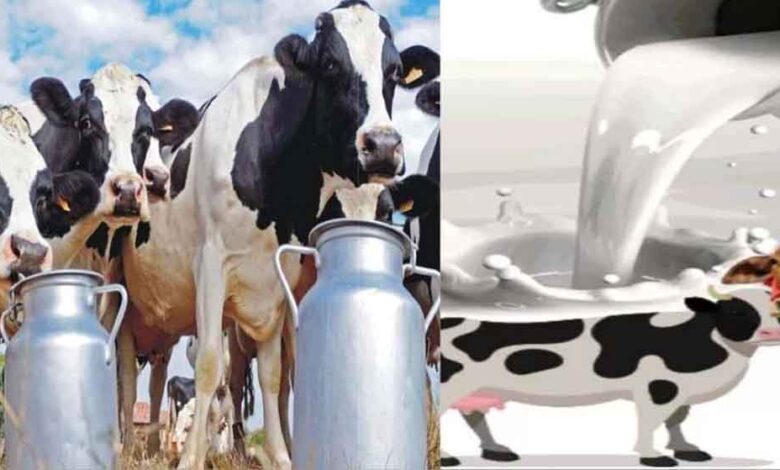 प्रदेश में बनेगी पहली सहकारी क्षेत्र की अत्याधुनिक राज्य स्तरीय डेयरी परीक्षण प्रयोगशाला