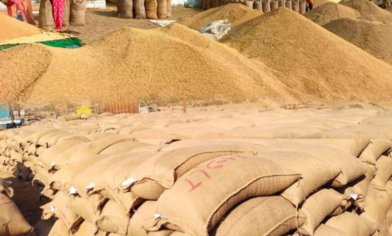 गत-वर्ष-से-8-लाख-22-हजार-मीट्रिक-टन-अधिक-हुई-धान-की-खरीदी-:-खाद्य-मंत्री-राजपूत