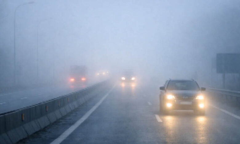 MP में मावठा और कोहरे के बाद बढ़ेगी सर्दी, 25 जनवरी से पारा 2-3 डिग्री लुढ़केगा