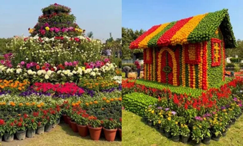 वाइब्रेंट की थीम पर होगा राज्य स्तरीय पुष्प महोत्सव, प्रदेश में उत्पादित फूलों की विभिन्न किस्मों का होगा प्रदर्शन