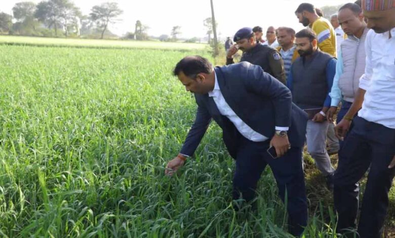मध्य प्रदेश में हर किसान को फसल मुआवजा, मोहन यादव के आदेश पर अधिकारी खेतों में पहुँचे