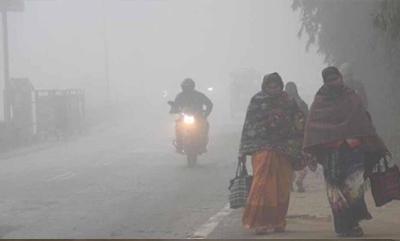 mp-के-19-शहरों-में-कड़ाके-की-ठंड,-राजगढ़-सबसे-ठंडा:-तापमान-3°c,-सतना-में-दृश्यता-सिर्फ-50-मीटर