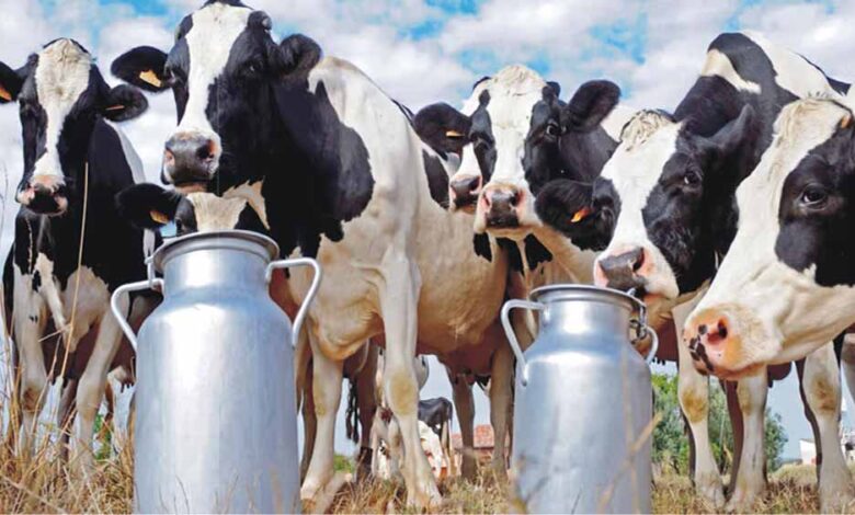 किसानों-के-कल्याण-के-लिए-मिशन-मोड-में-करें-काम-:-मुख्यमंत्री-डॉ.-यादव